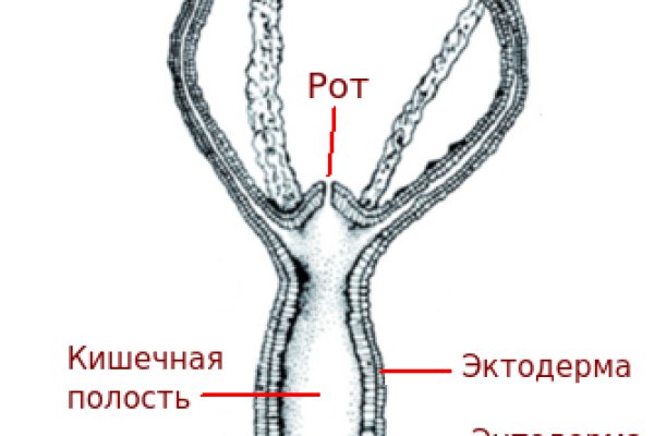 Кракен магазин krakens13 at